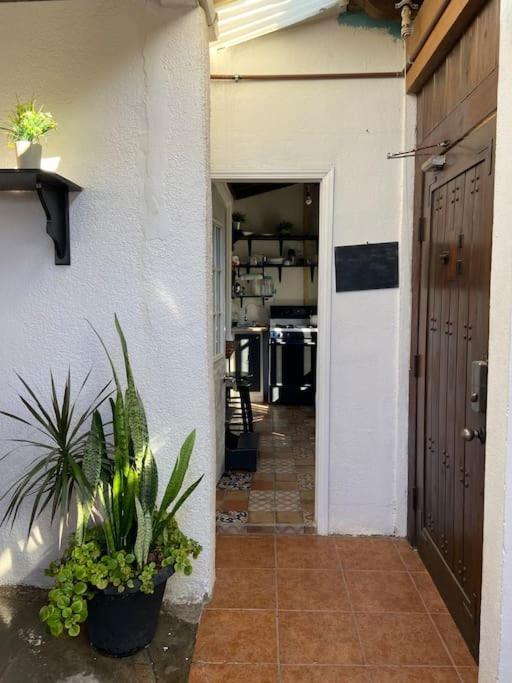 Jaguar Studio Tijuana Zewnętrze zdjęcie